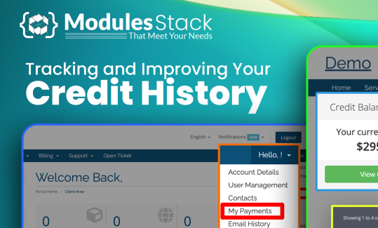 Credit History - MS For WHMCS v1.0
